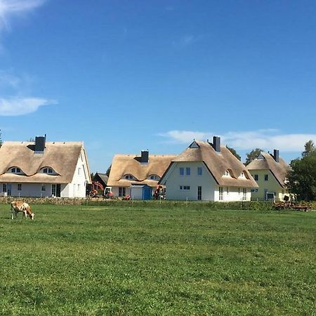 Reetdachhaeuser Boergerende Eksteriør bilde