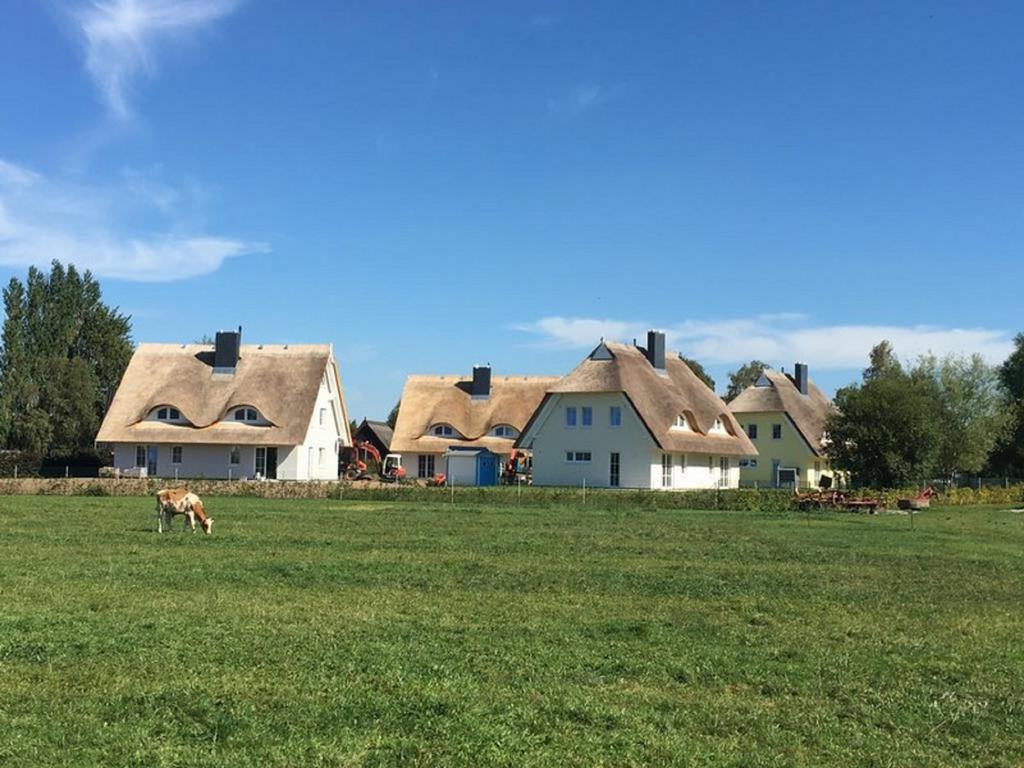 Reetdachhaeuser Boergerende Eksteriør bilde